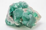 Cubic Green Fluorite Crystal Cluster on Quartz - China #197171-4